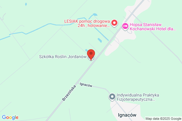 Alwasiak Przemyslaw. Szkólki roslin ozdobnych