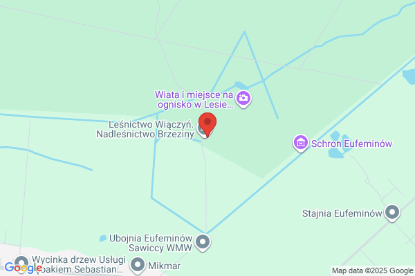Lesnictwo Wiaczyn. Nadlesnictwo Brzeziny