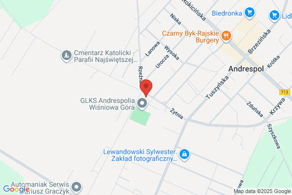 Oziemkowski H. Krajowy i miedzynarodowy transport ciezarowy