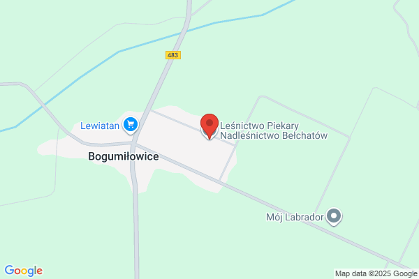 Podlesniczówka. Lesnictwo Piekary. Nadlesnictwo Belchatów
