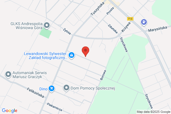 Powalowski. Agencja uslugowo - handlowa. Powalowski B.