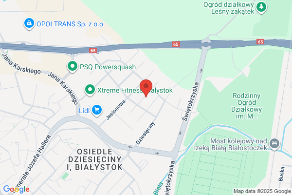 Project Consulting. Brzostowska A.