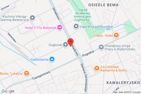 Audyt, Szkolenia, Doradztwo w Transporcie Drogowym