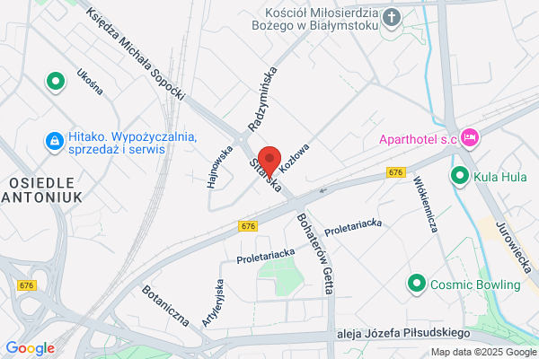 Bozek Batrosz. Automatyka