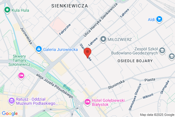 Dama. Zaklad fryzjerski. Szymanowska A.