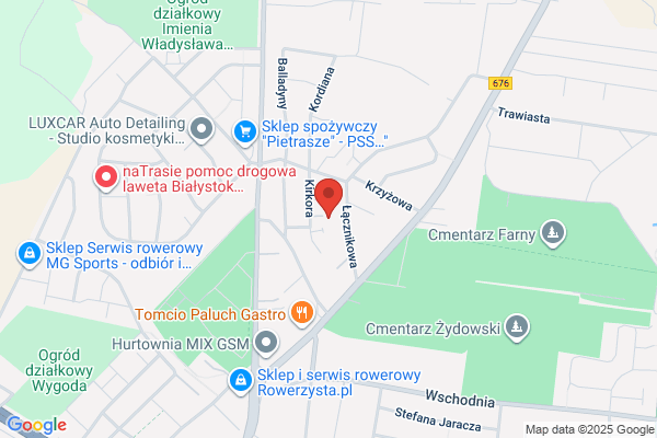 Dabrowski Andrzej. Uslugi geodezyjno - kartograficzne