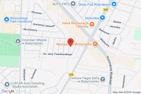 Raczkowski Leon. Zaklad elektryczny