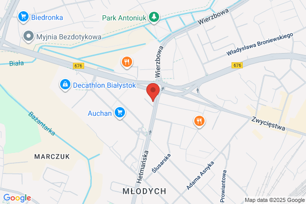 GOGLER - zadbamy o Twój wizerunek w Internecie