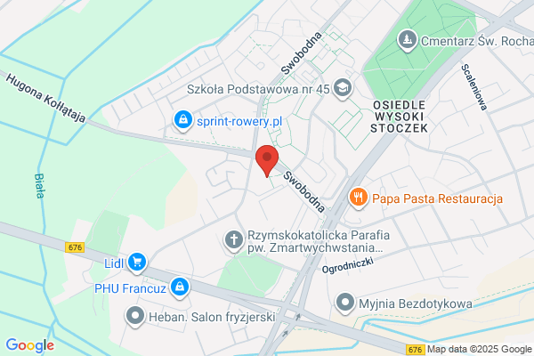 Forsycja. Kwiaciarnia