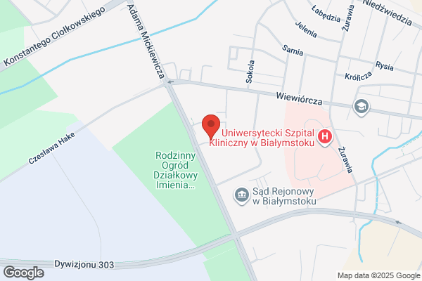 Krokus. Hurtownia kwiatów