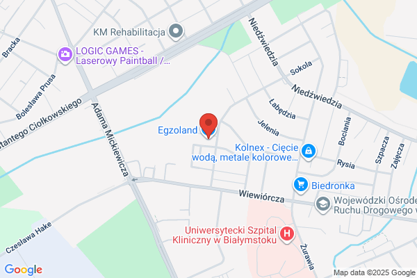 Egzoland. Produkcja roslin ozdobnych, kwiatów balkonowych, drzew
