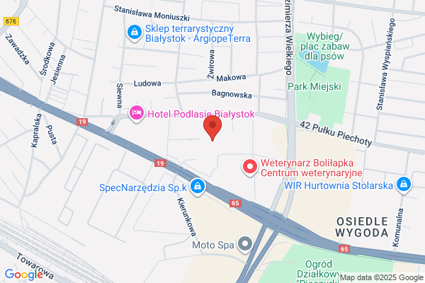 Dabrowski Tadeusz. PPHU. Parking strzezony
