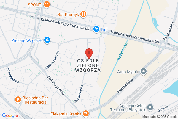 Choinski Zdzislaw. Roboty ziemne