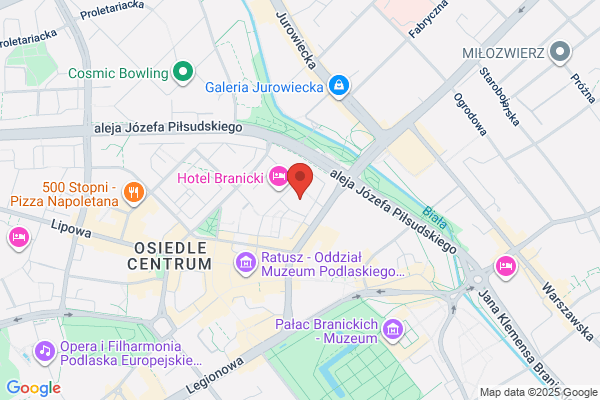 Miejski Osrodek Pomocy Rodzinie. Sekcja ds. rehabilitacji spolecznej