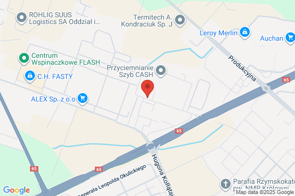 Regionalny Osrodek Polityki Spolecznej