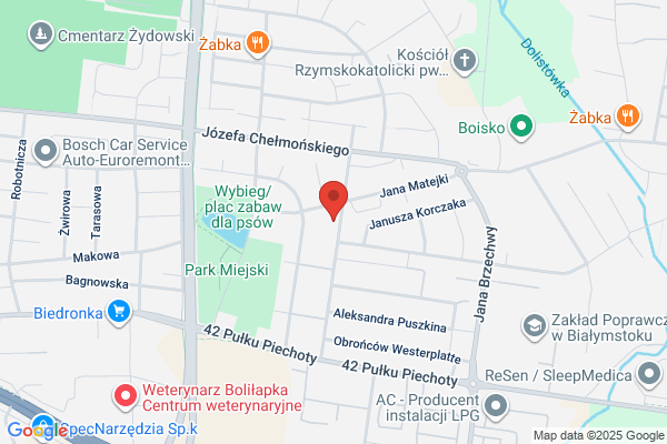 Zimnoch Anna. Pracownia protetyczna