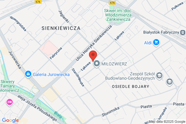 Przedszkole nr 22 Samorzadowe
