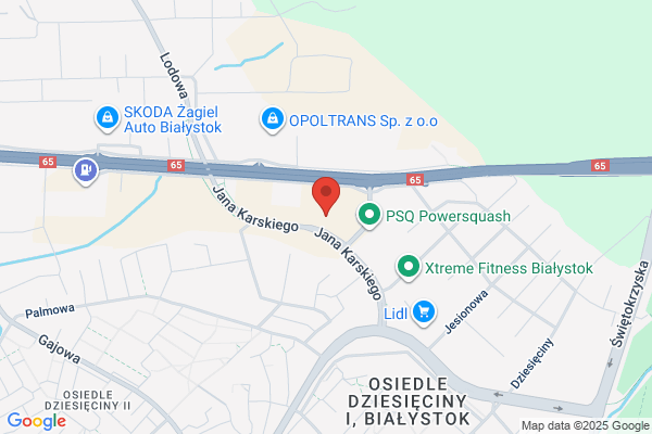 Prywatny Ośrodek Leczenia Uzależnień Bezpieczna Przystań