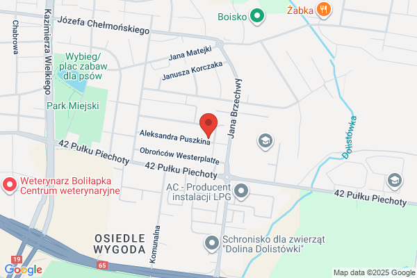 Wolczynska Jolanta. Uslugi ksiegowe