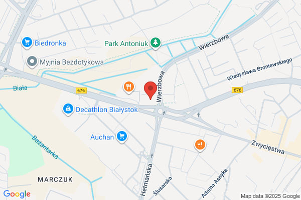 Polski Zwiazek Motorowy. Sp. z o.o. Okregowy Zespól Dzialalnosci Gospodarczej. Rzeczoznawcy
