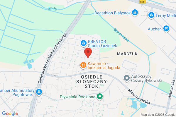 ToPaG GeoService