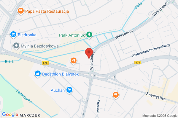 PZMot. Stacja kontroli pojazdów