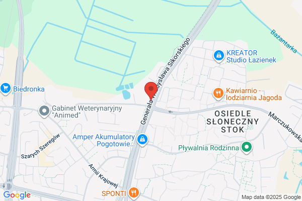 ACM. Wypozyczalnia samochodów. Grygoruk A.