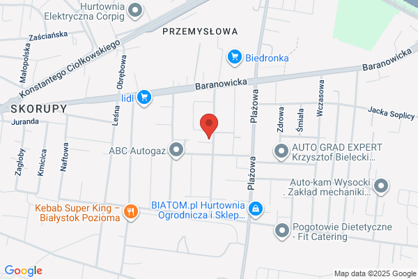 Pingwin. ZPH