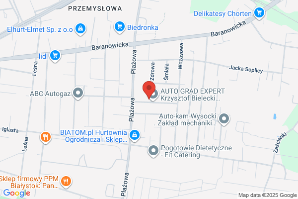 Budlewski Kazimierz. Bagazowe Taxi
