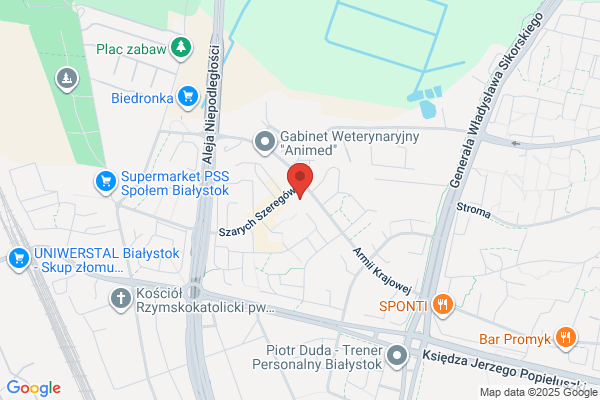 Plonski Czeslaw Miroslaw. Uslugi autokarowe