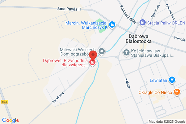 Stasiukiewicz Lech. Uslugi transportowe