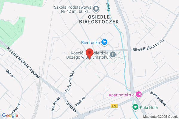 Borkowski. Ubezpieczenia emerytalne i na zycie