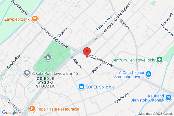 Karczewski P. Lecznica dla zwierzat