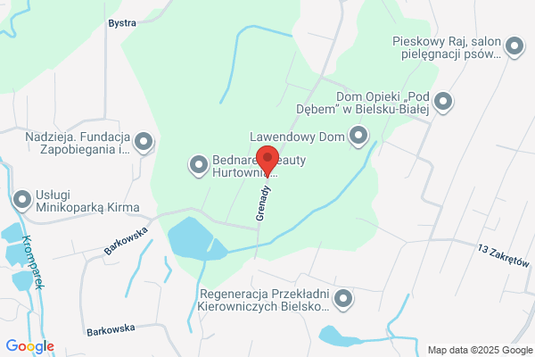Paluch Jan. Murarstwo kompleksowe