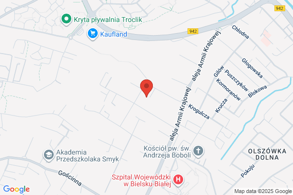 Dzwig-Serwis. Dzwigi osobowe, dzwigi towarowe, dzwigi dla niepelnosprawnych. Bachrach Janusz