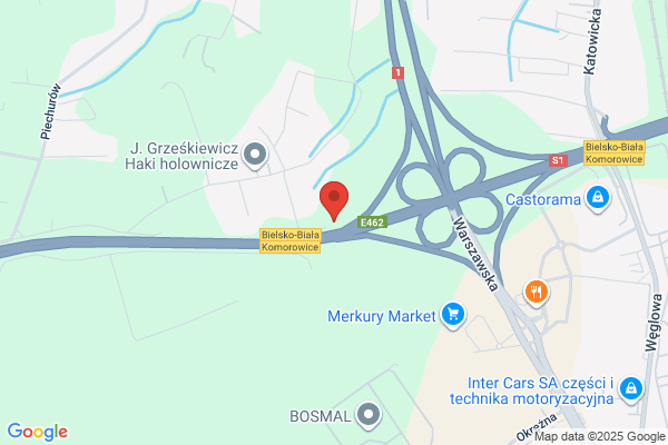Termix SC. Kozlowski J., Rauer R.