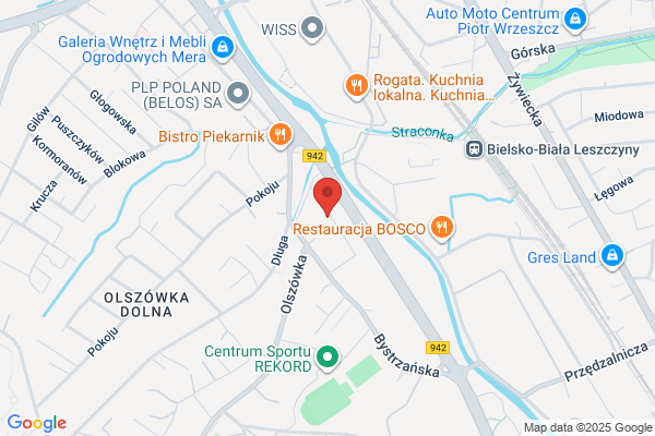 Benedykt Aleksander. Artystyczna pracownia lutnicza. Budowa i korekta gitar