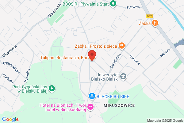 Tulipan. Kawiarnia, bar