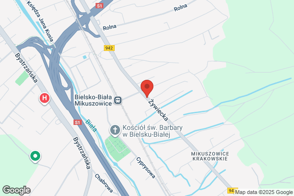 Aster. Centrum kwiatowo - ogrodnicze