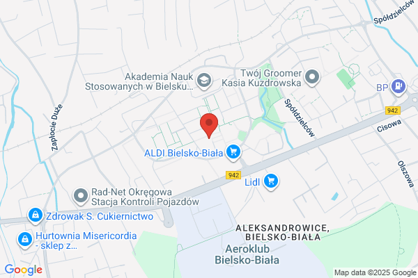 Storczyk. Kwiaciarnia