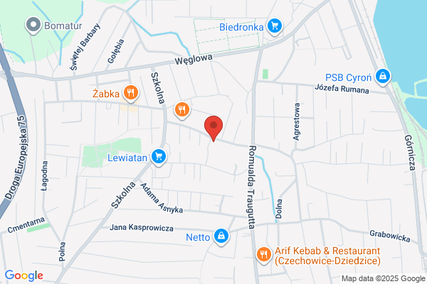 Storczyk. Kwiaciarnia