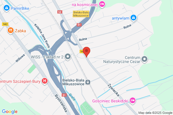 Szalinski H. Magiel elektryczny