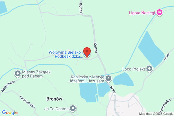 Dron E. Przetwórstwo miesne
