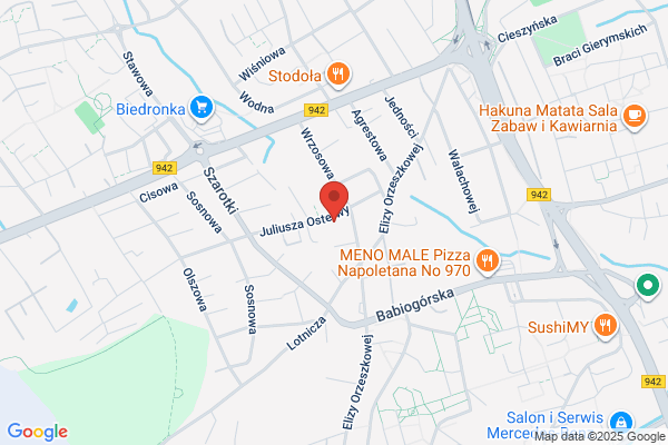 Copija Roman. Osrodek szkolenia kierowców. Nauka jazdy