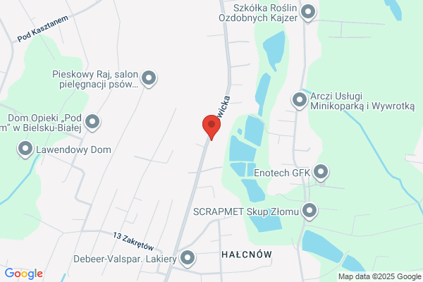 Magnum Beskidy. Przewozy krajowe i miedzynarodowe. Nauka jazdy
