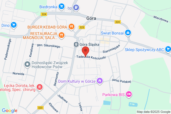 Internat Liceum Ogólnoksztalcacego nr V