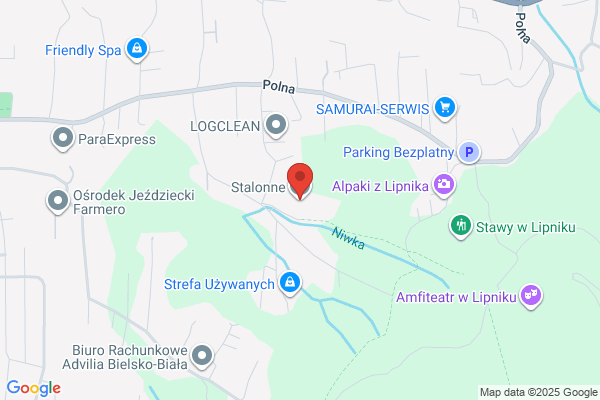 Niezgoda Jan. Czyszczenie dywanów