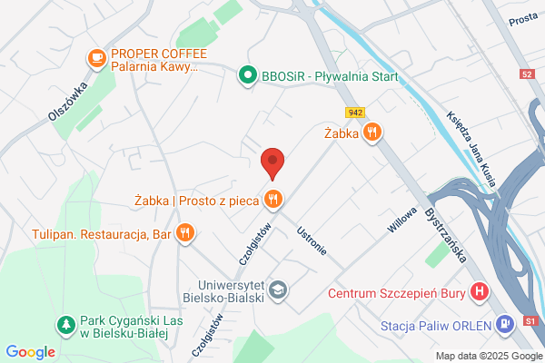 Rokowska Bozena. Protetyka dentystyczna