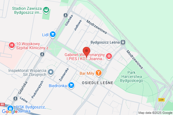 Losos. Sklep rybny