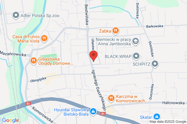 Ozóg Grzegorz. Uslugi motoryzacyjne